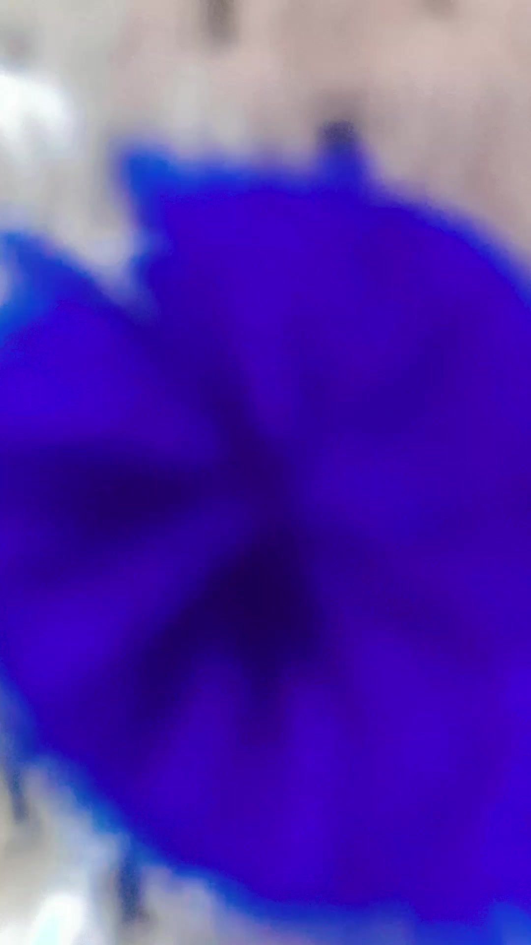 @❤️𝖲𝖺𝗓𝗇𝗂💞𝖩𝖺𝖺𝗇&hearts;️ˢ&hearts;️