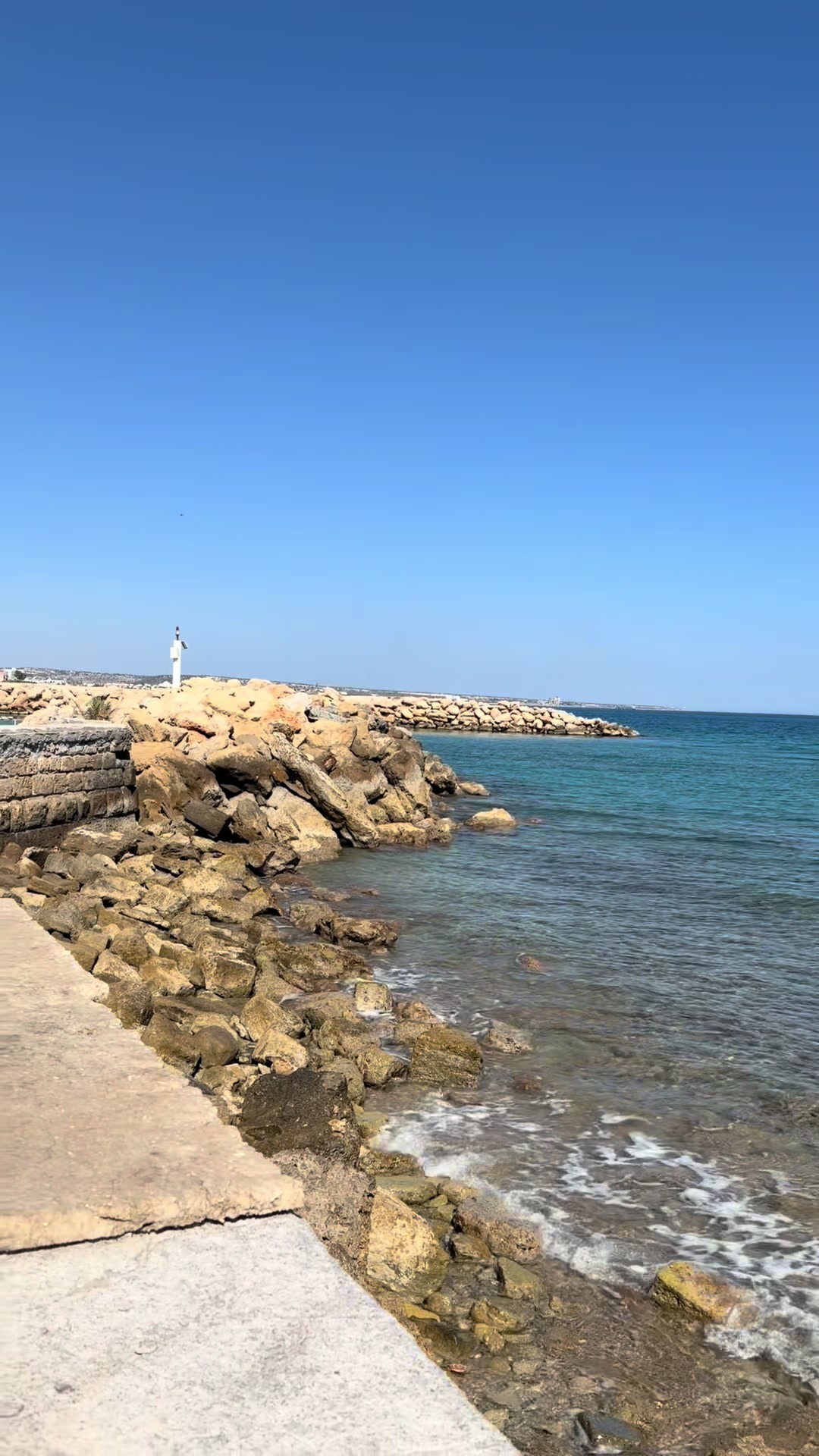 @Rushdi Abu Alouf