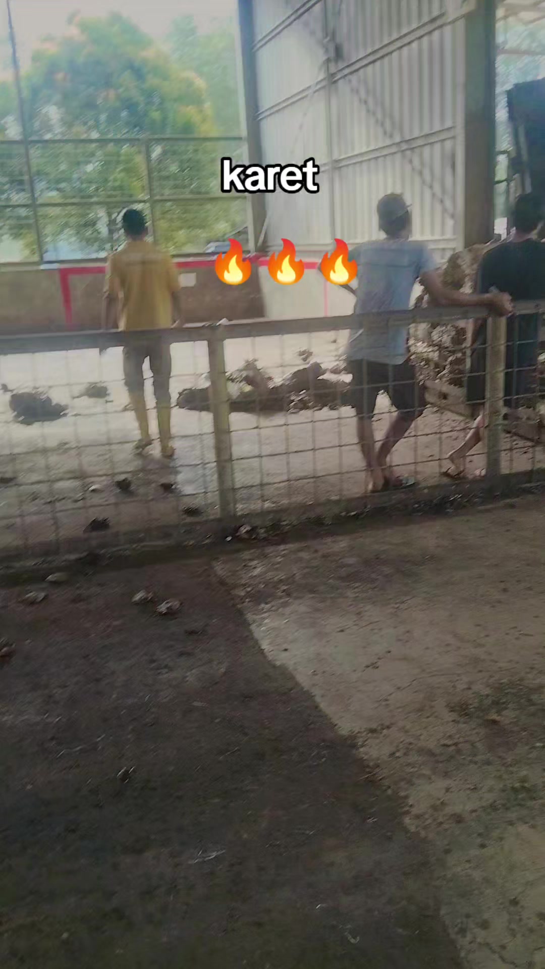 @Ginok