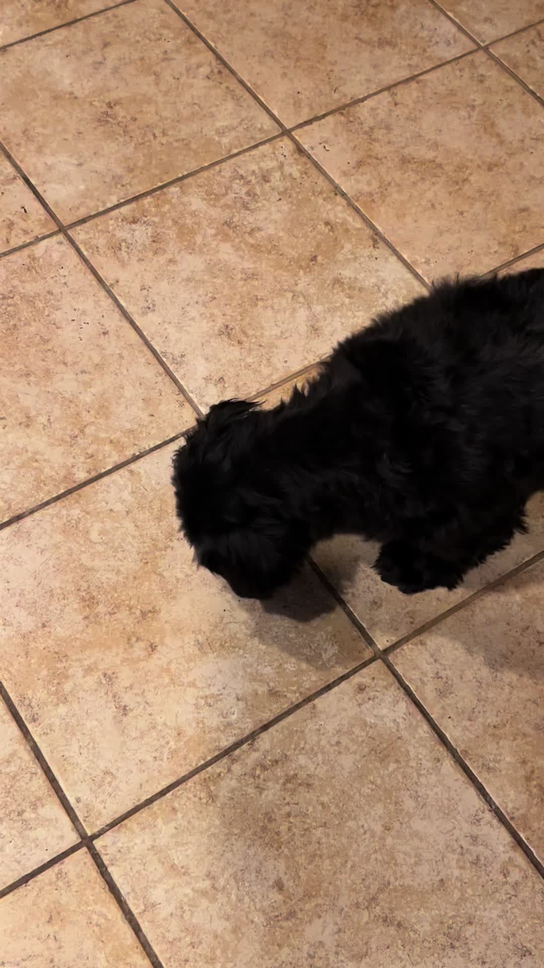 @jojo&hearts;️autism💚garden💙dogmom