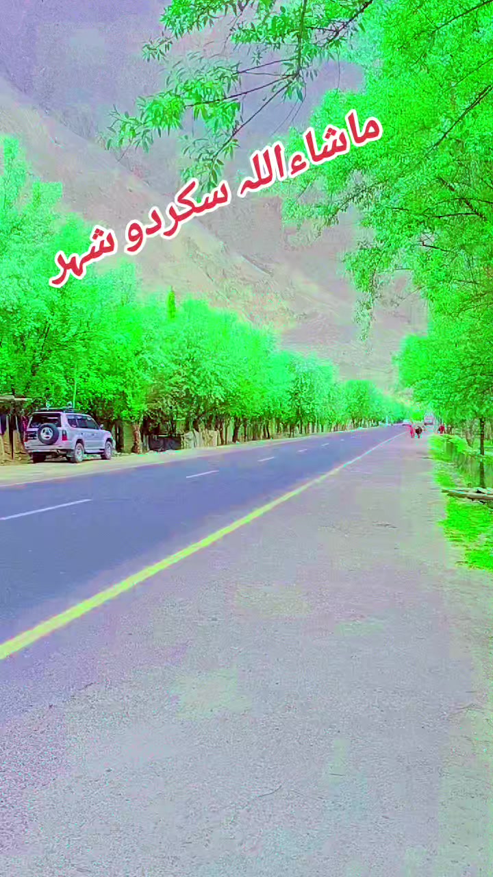 @sajid6699