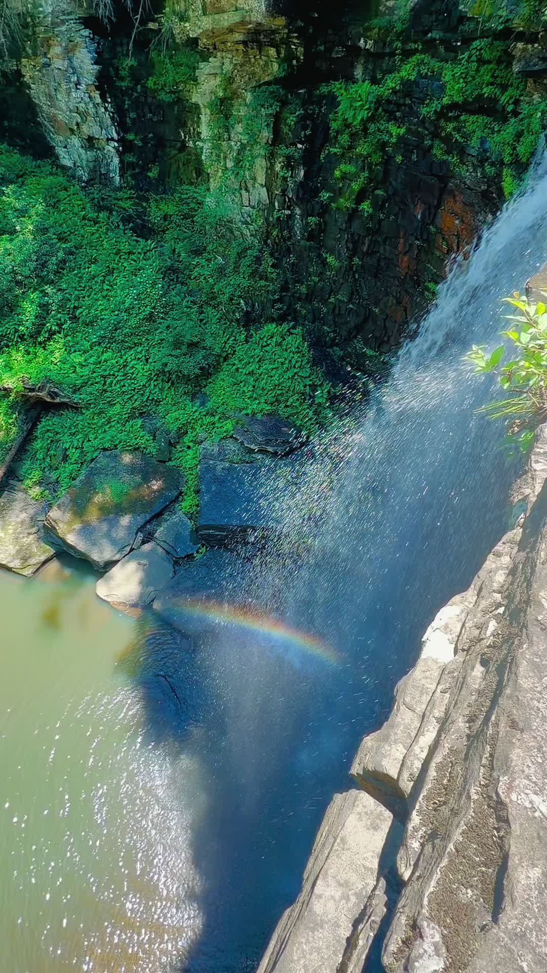 @Nature junkie