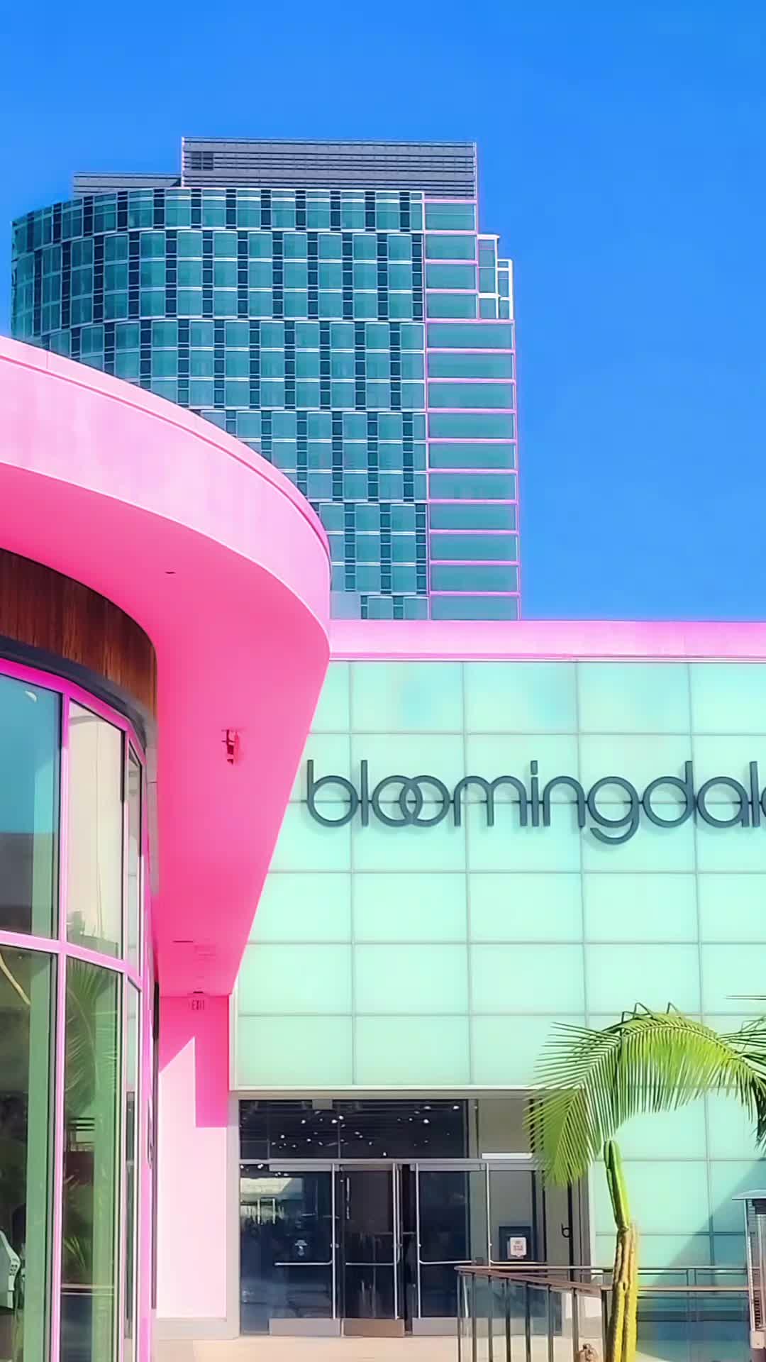 @Davin Del Amo