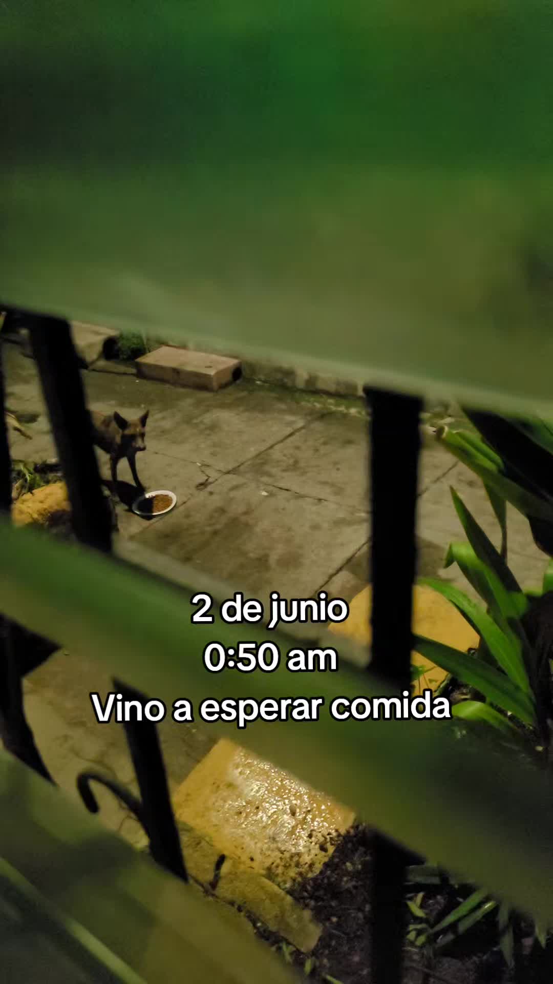 @𝕃𝕚𝕤𝕤 ℝ𝕖yes🇸🇻