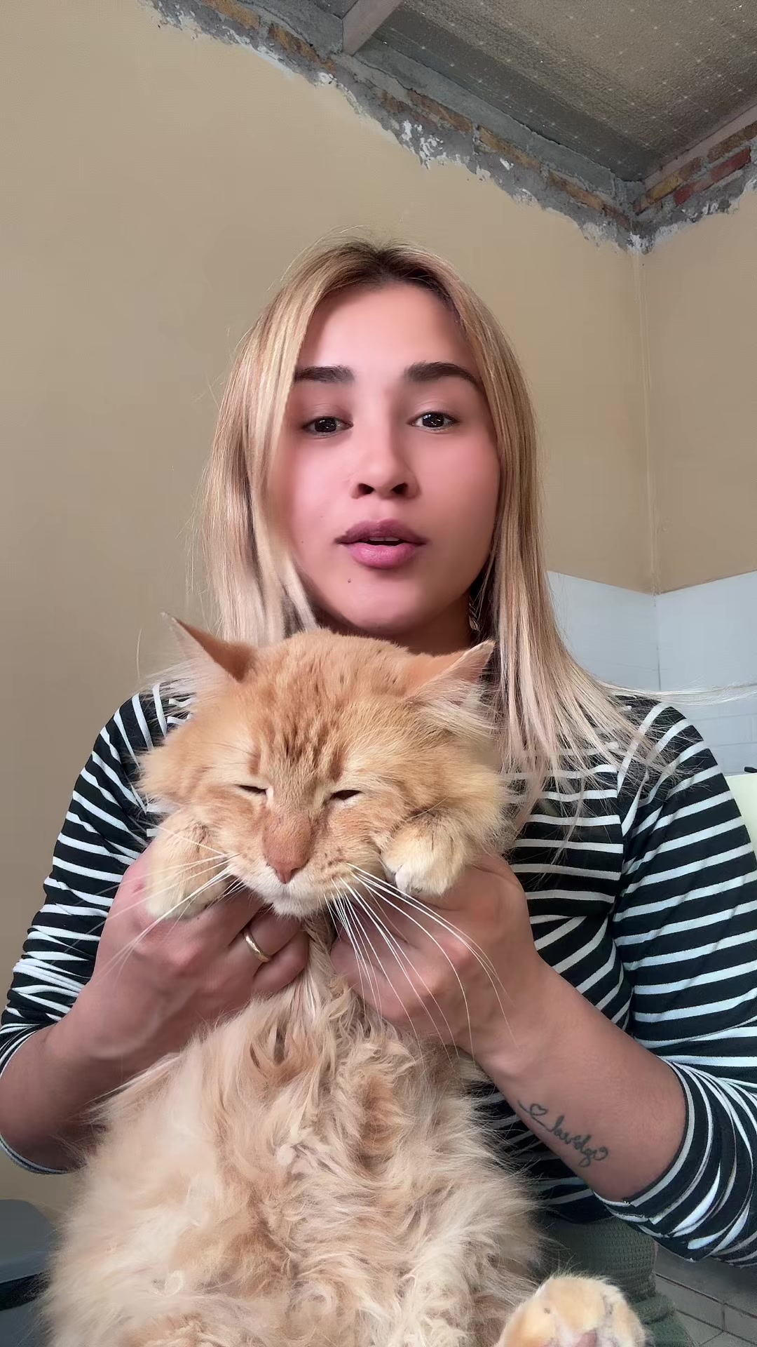 @Evee🦝