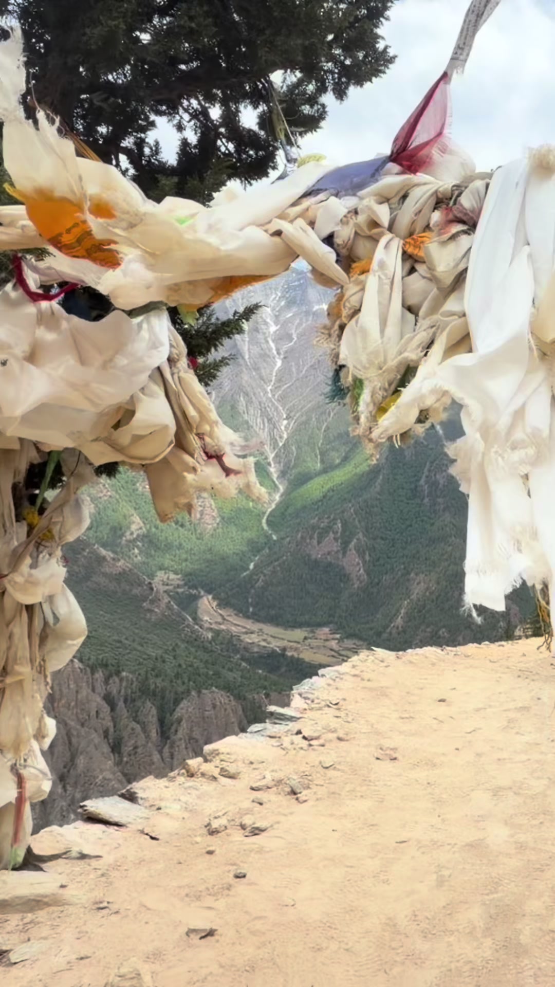 @𝑺𝒕𝒂𝒍𝒊𝒏𝒂 ✅️🇳🇵