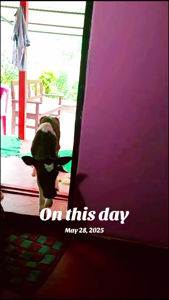 @Krishna Adhikari