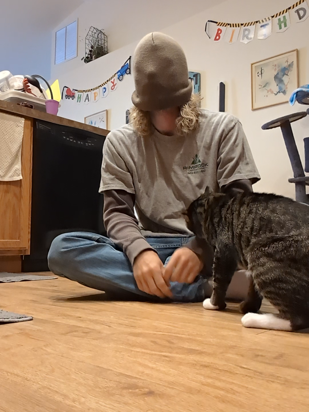 @Rainy the Cat