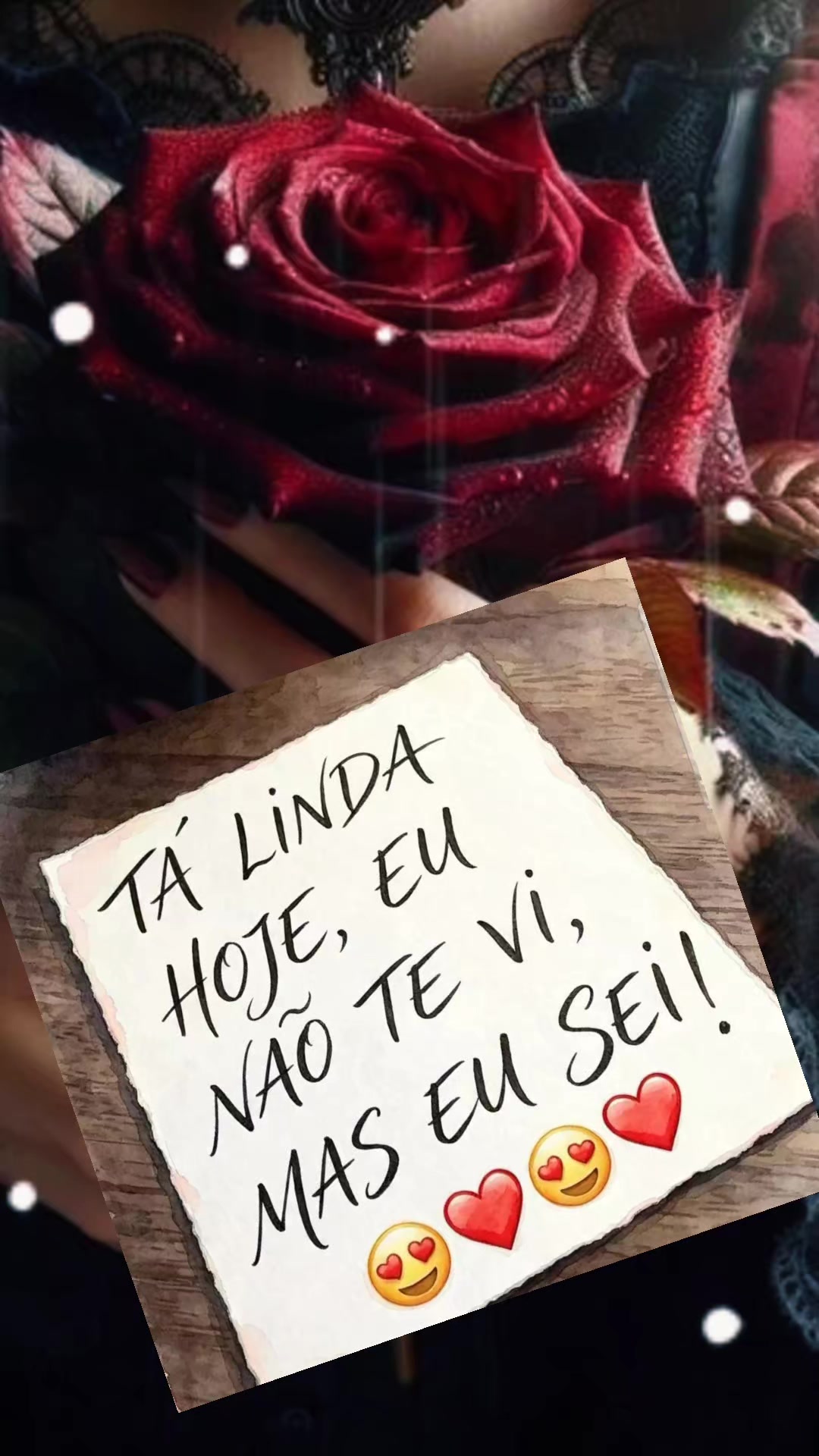 @Fátima Raio de luz 🐝🐞🦋