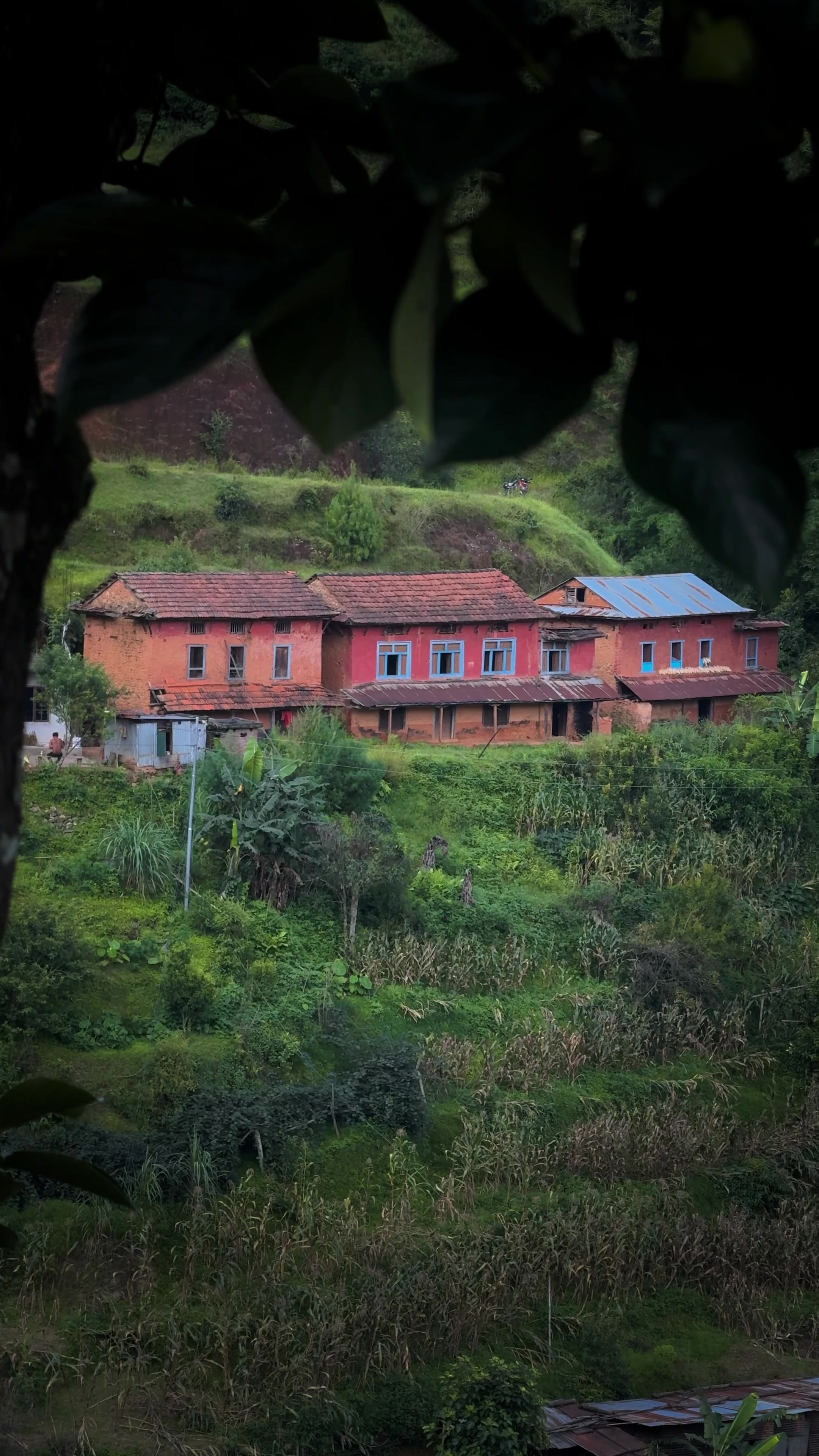 @Sudarshan Neupane