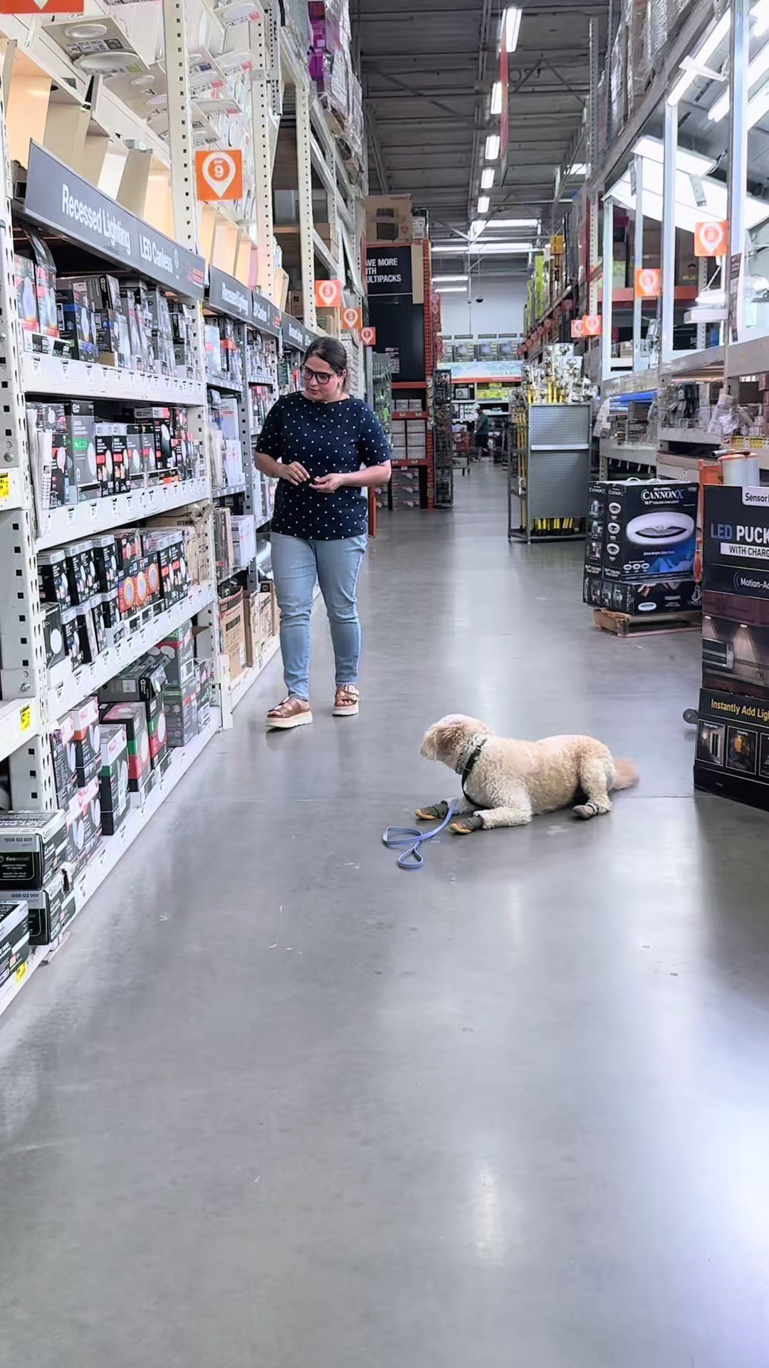 @Tactical K9s Dog Training
