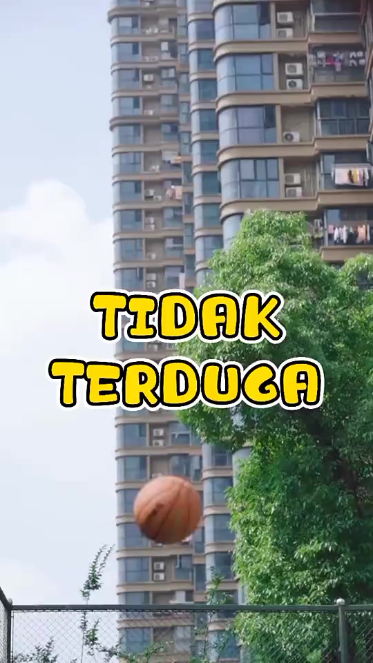@ᥫ᭡ᥫ᭡