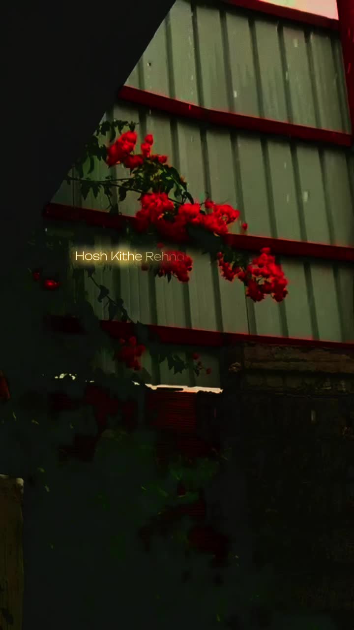@ش؟ 𓍢ִ໋🌷͙֒