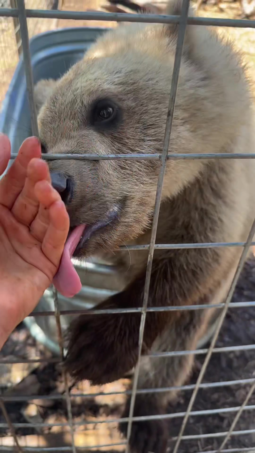 @Texas Wildlife Park