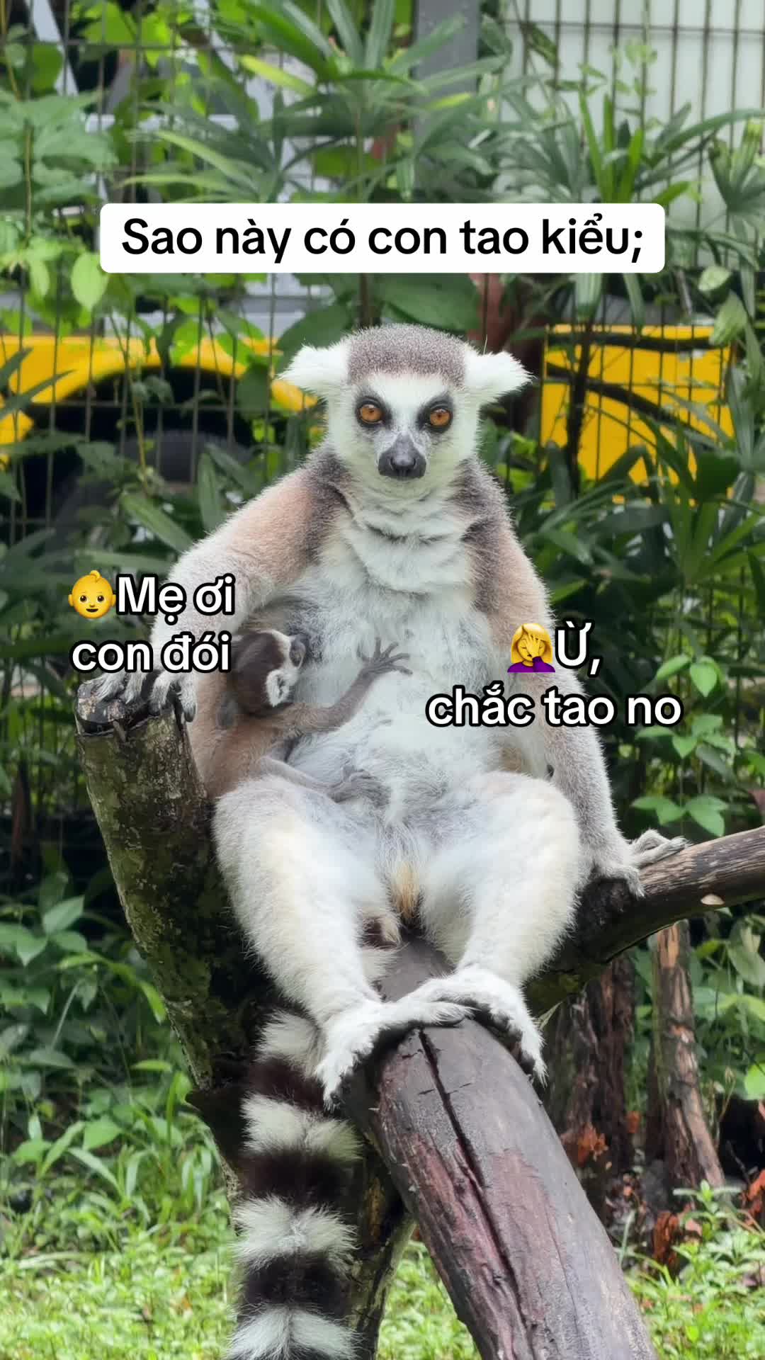 @babycute2kk