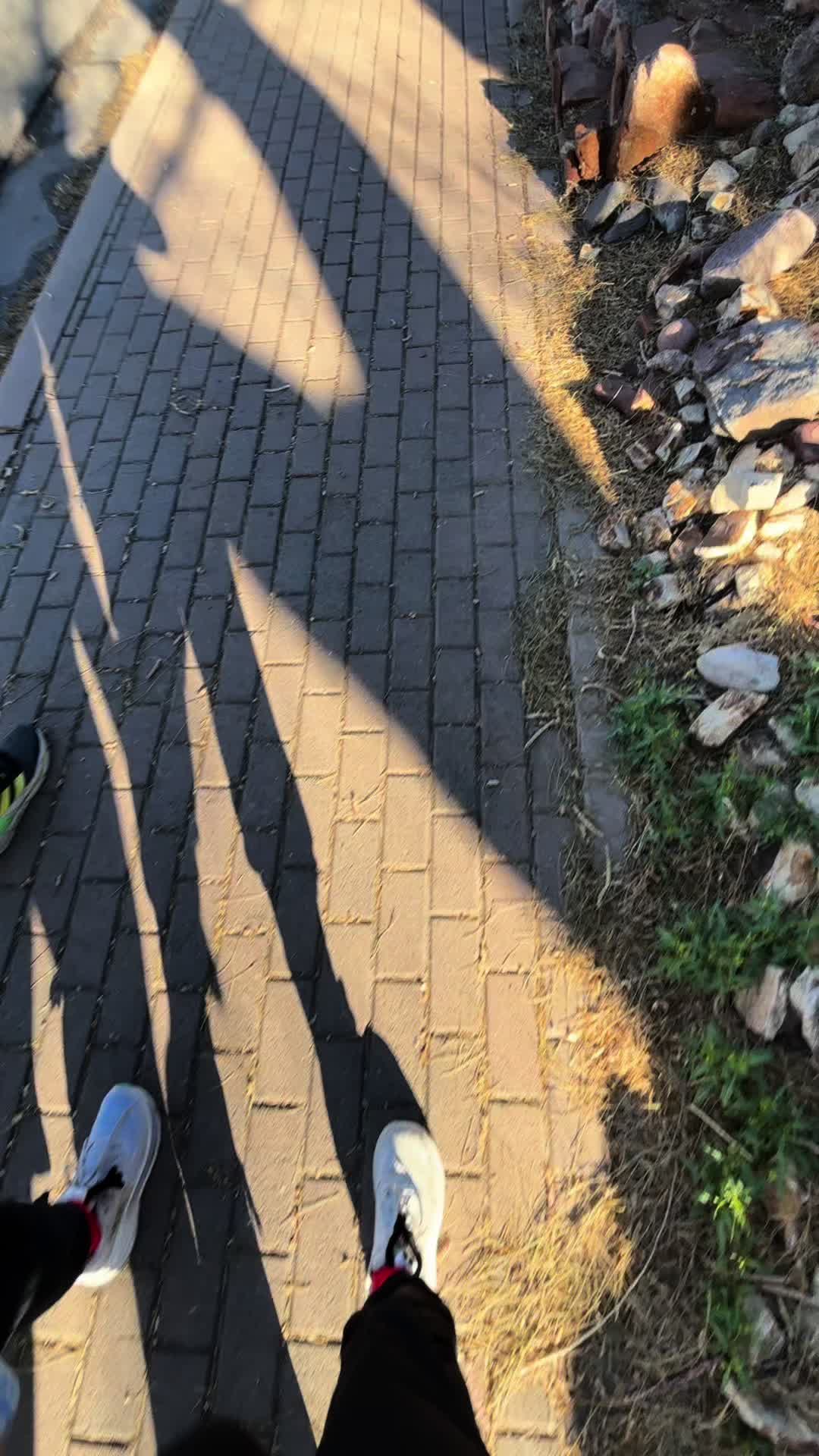 @shrimpsortagrossessmeout
