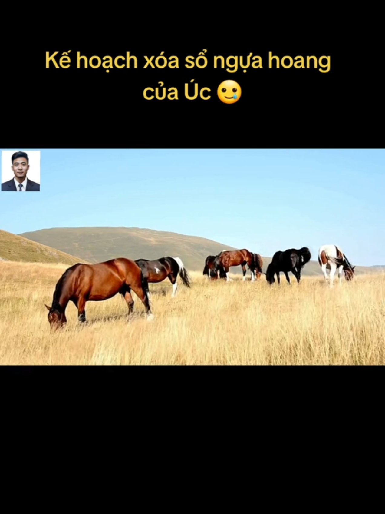 @🌏 BATMAN