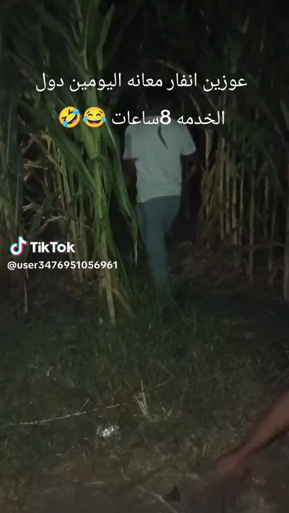 @❤️❤️زيزو الرايق❤️❤️