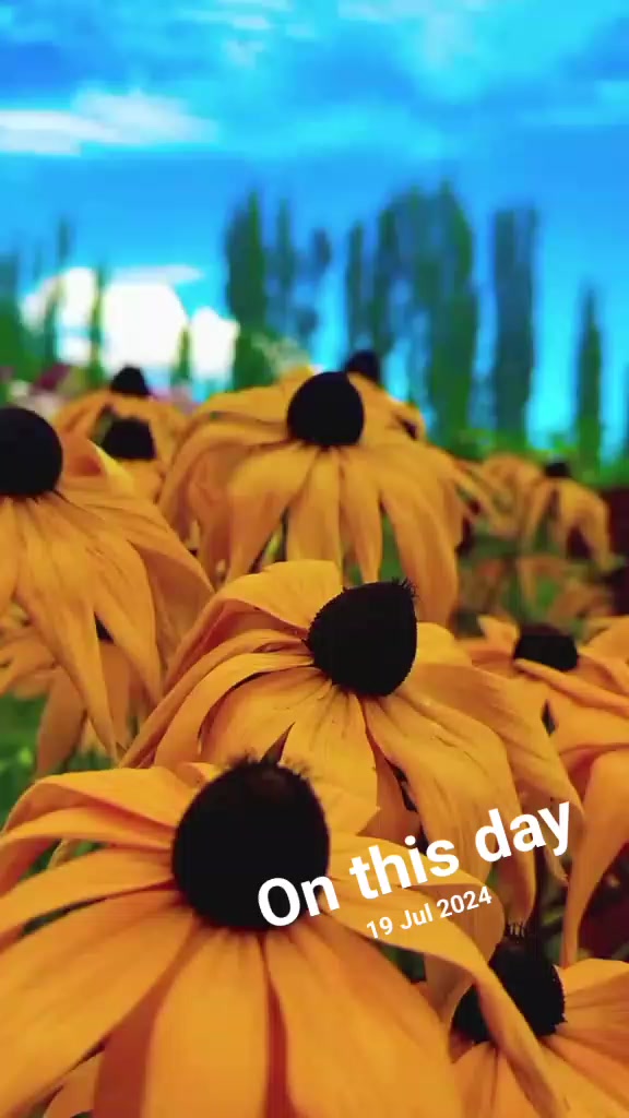 @reelsbyshigri