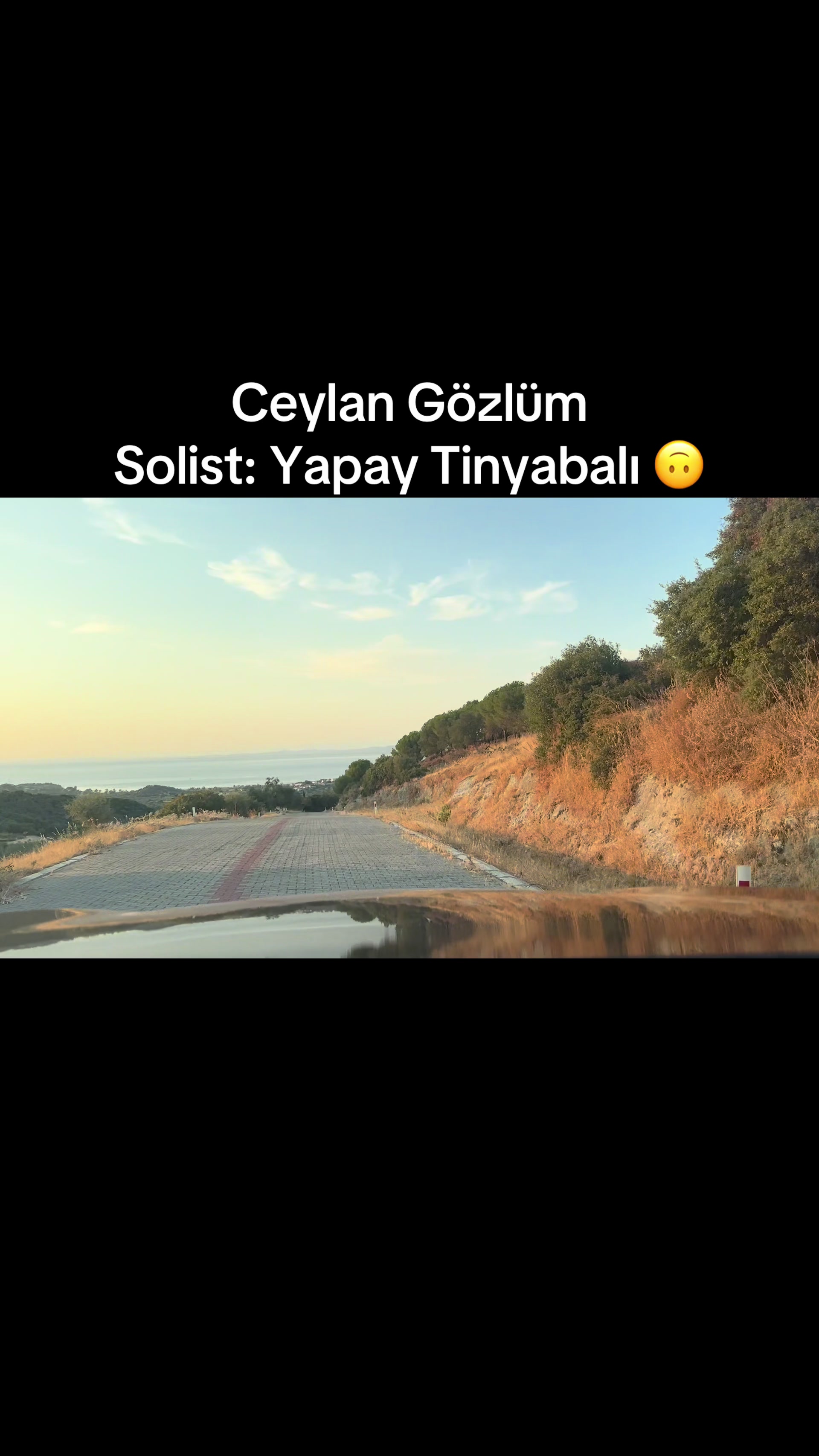 @Tinyabalı