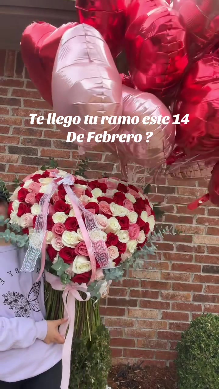 @Elise 🌸
