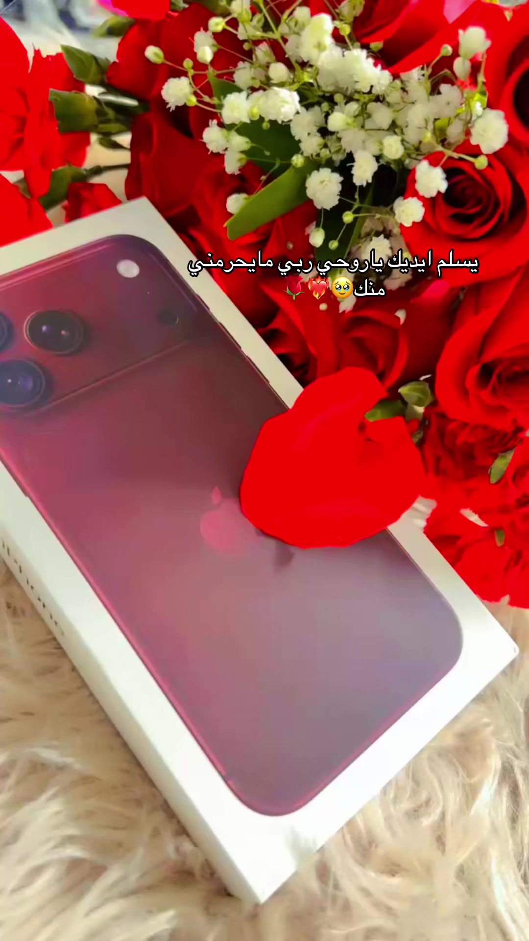@إيلــــــ ٰ ٌ🎀 ٌ ٰ ــــين