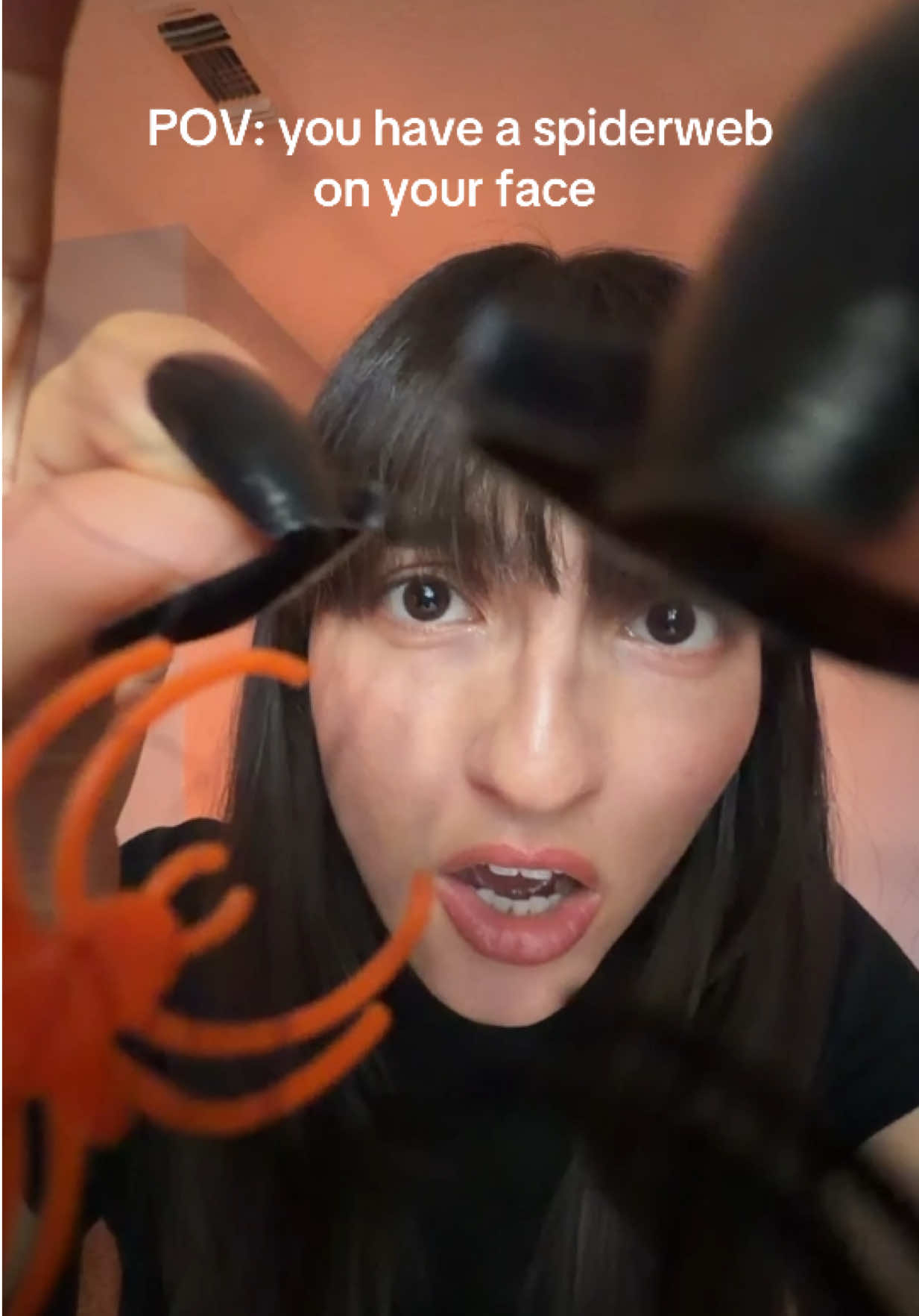 @ASMR Liz