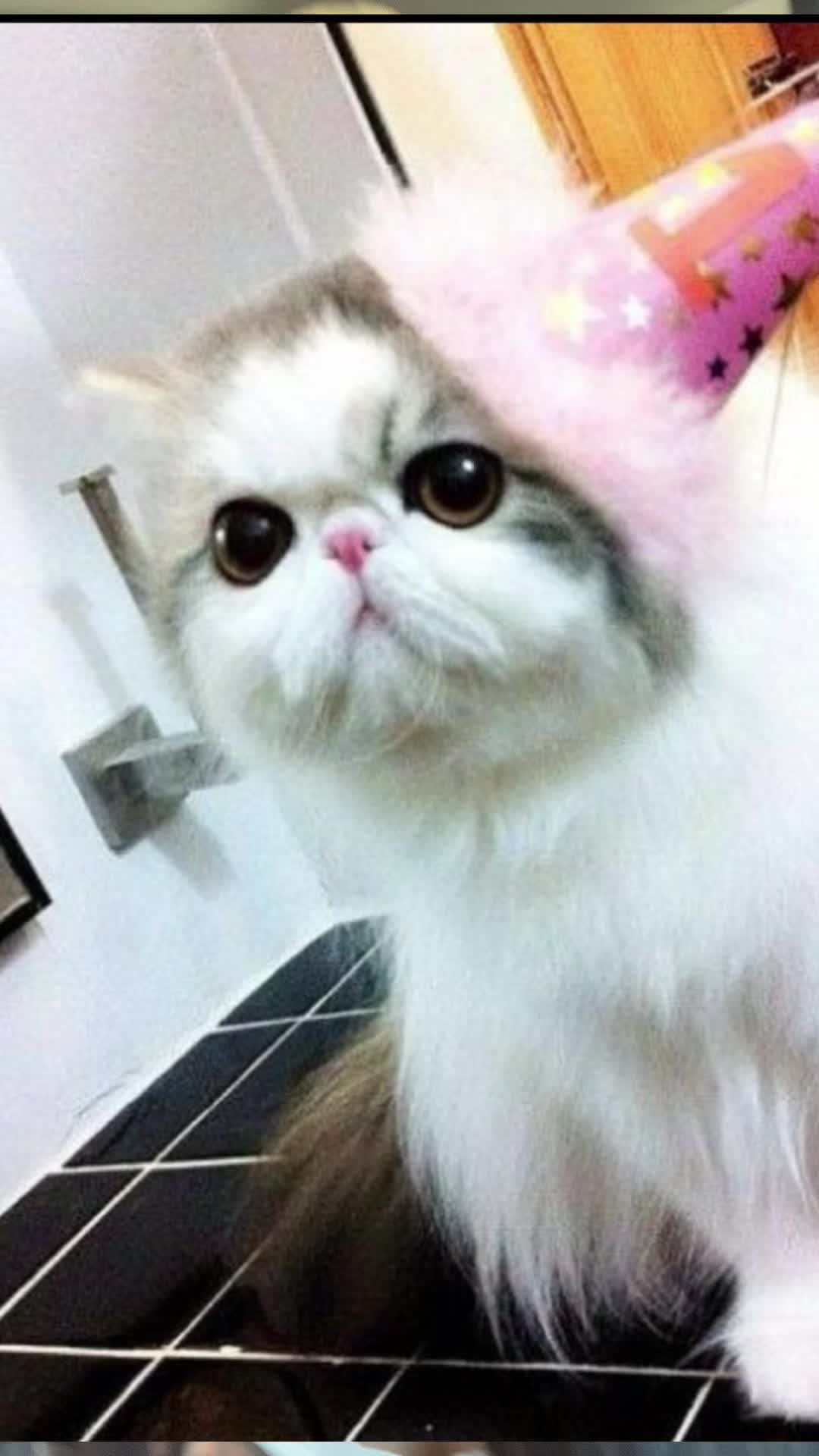 @𓃗🍋&zwj;🟩🐾🍧🐬