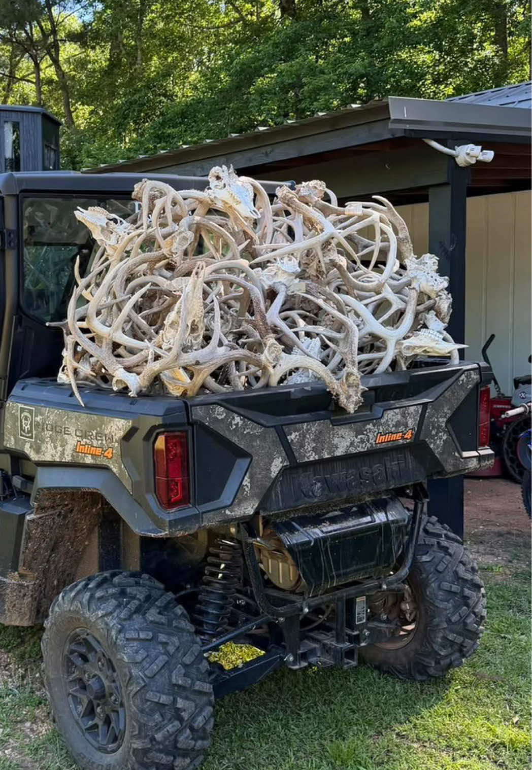 @Bone Collector