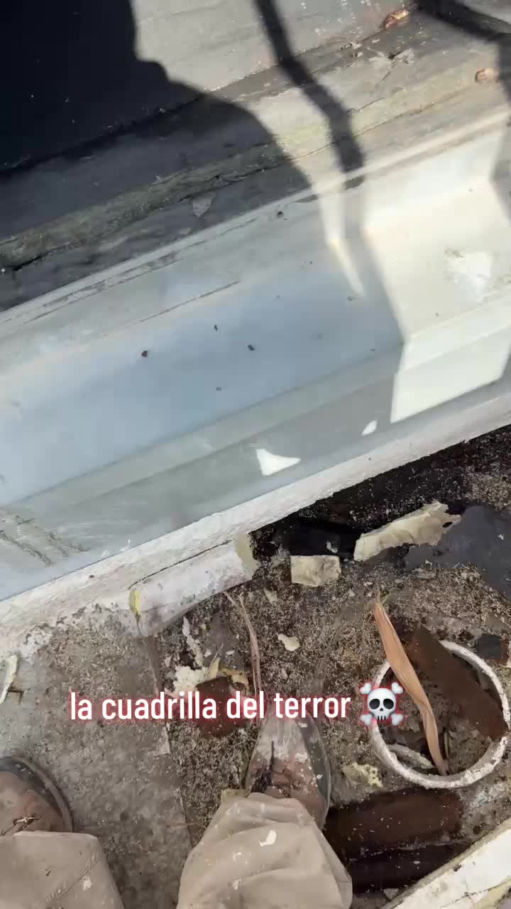 @avanceRoofing