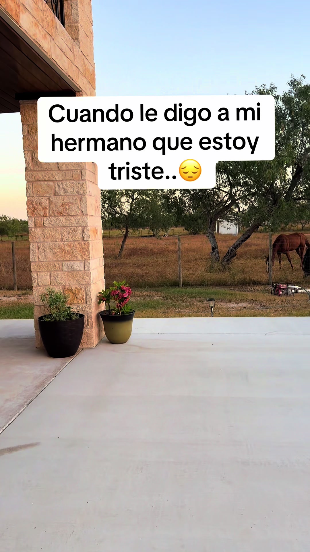 @Reyna Martinez