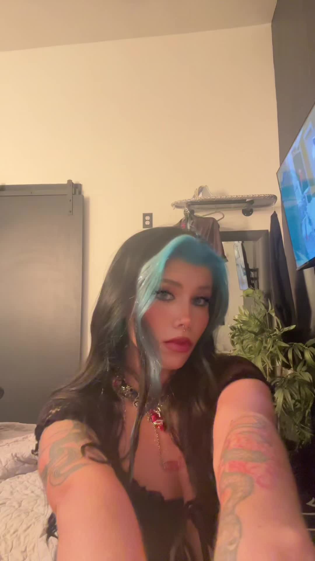 @Cherry Cat