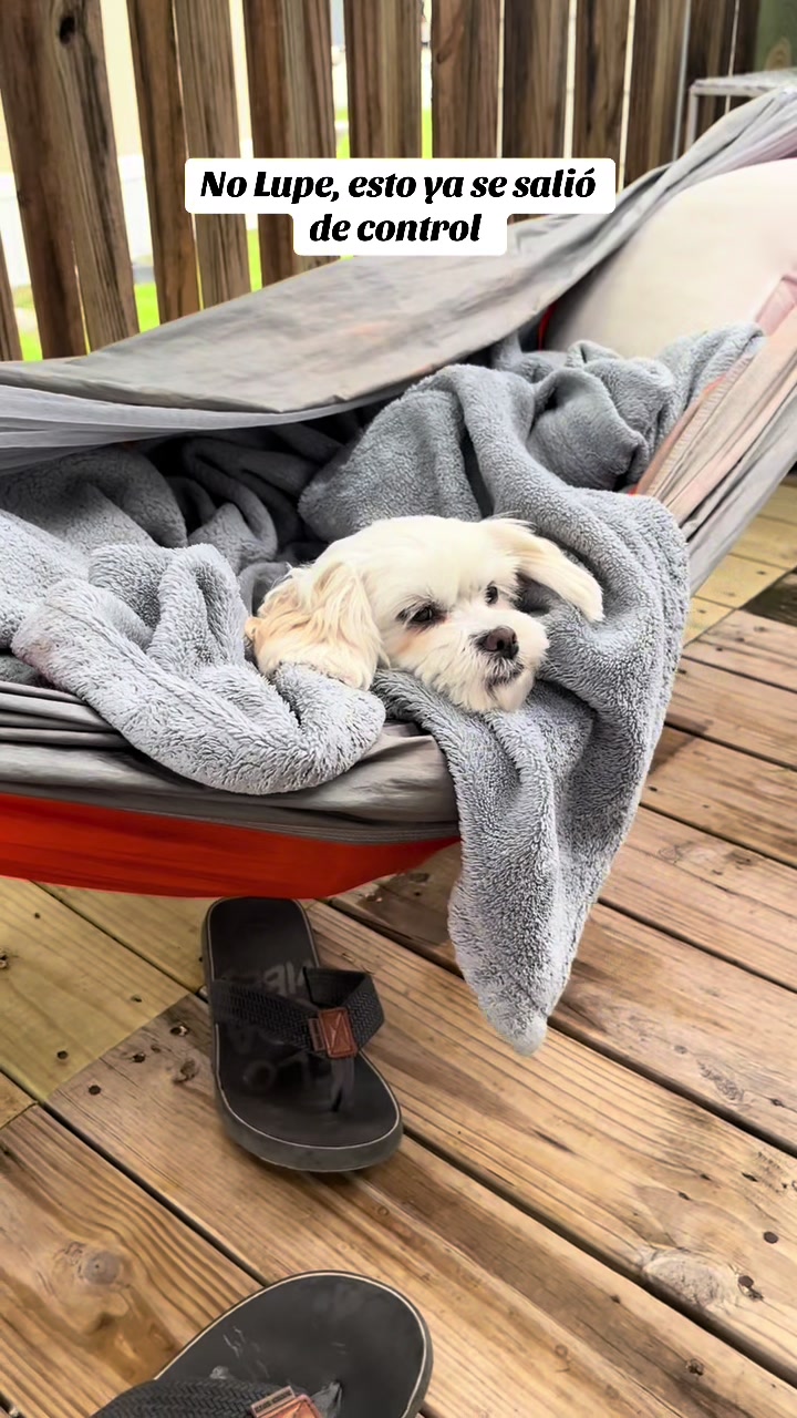 @AZUL🐶🥰