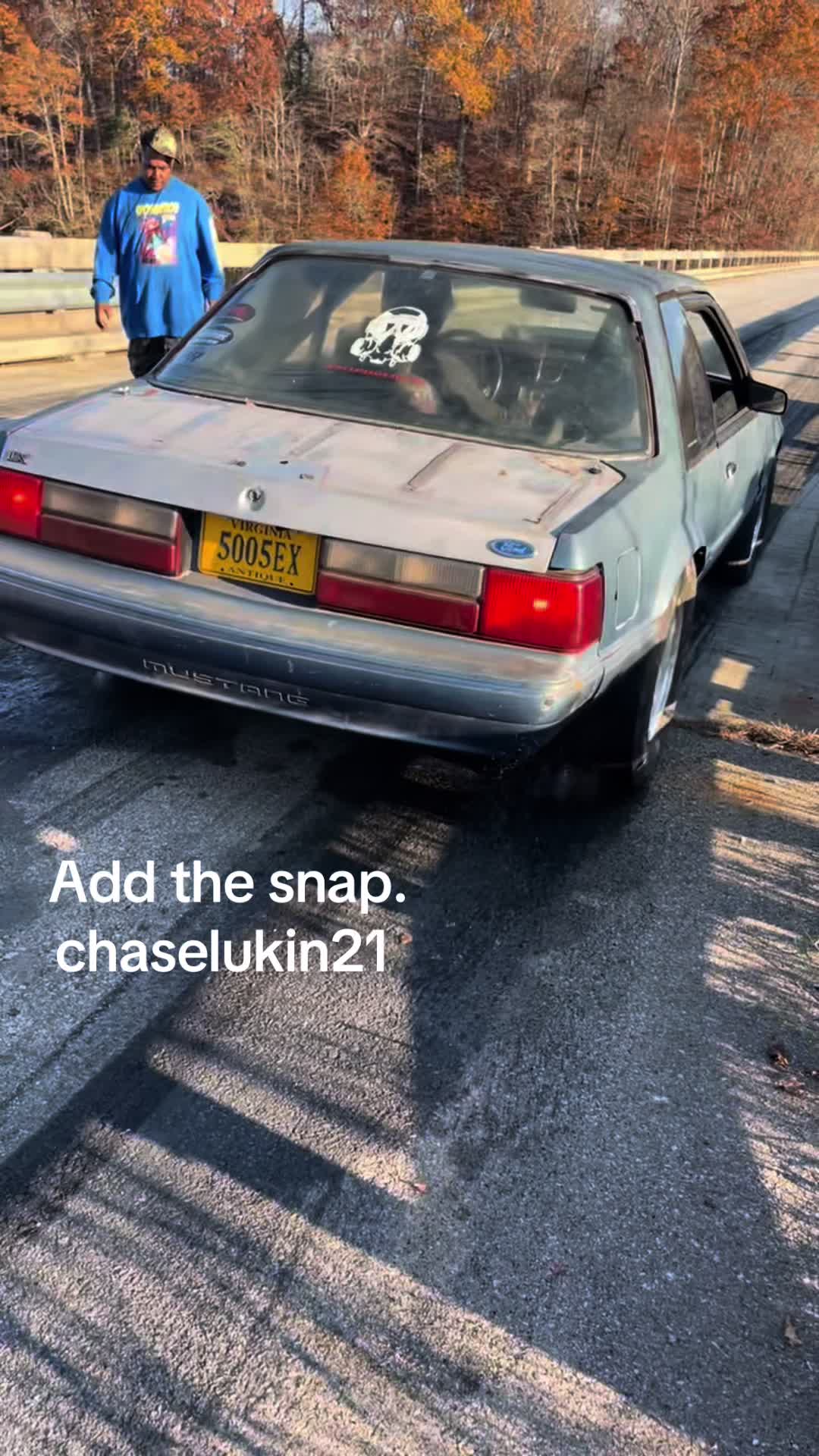 @1990 methstang lx