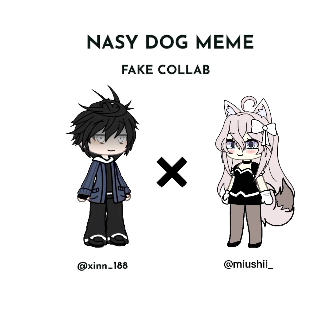 @mimi ⟢