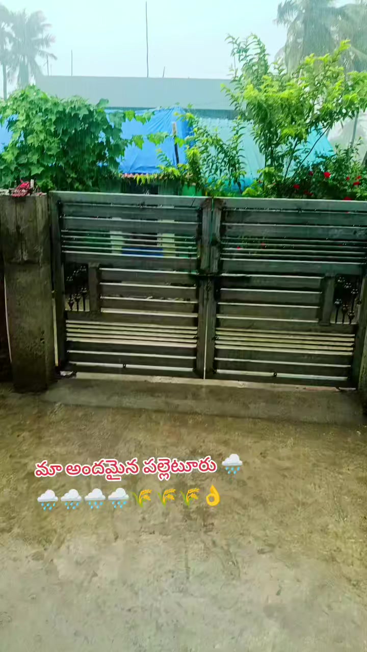 @rajupraju481