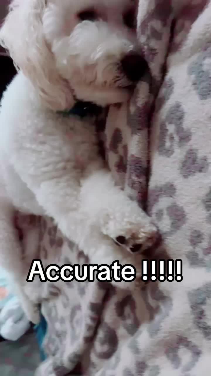 @MeganT32686