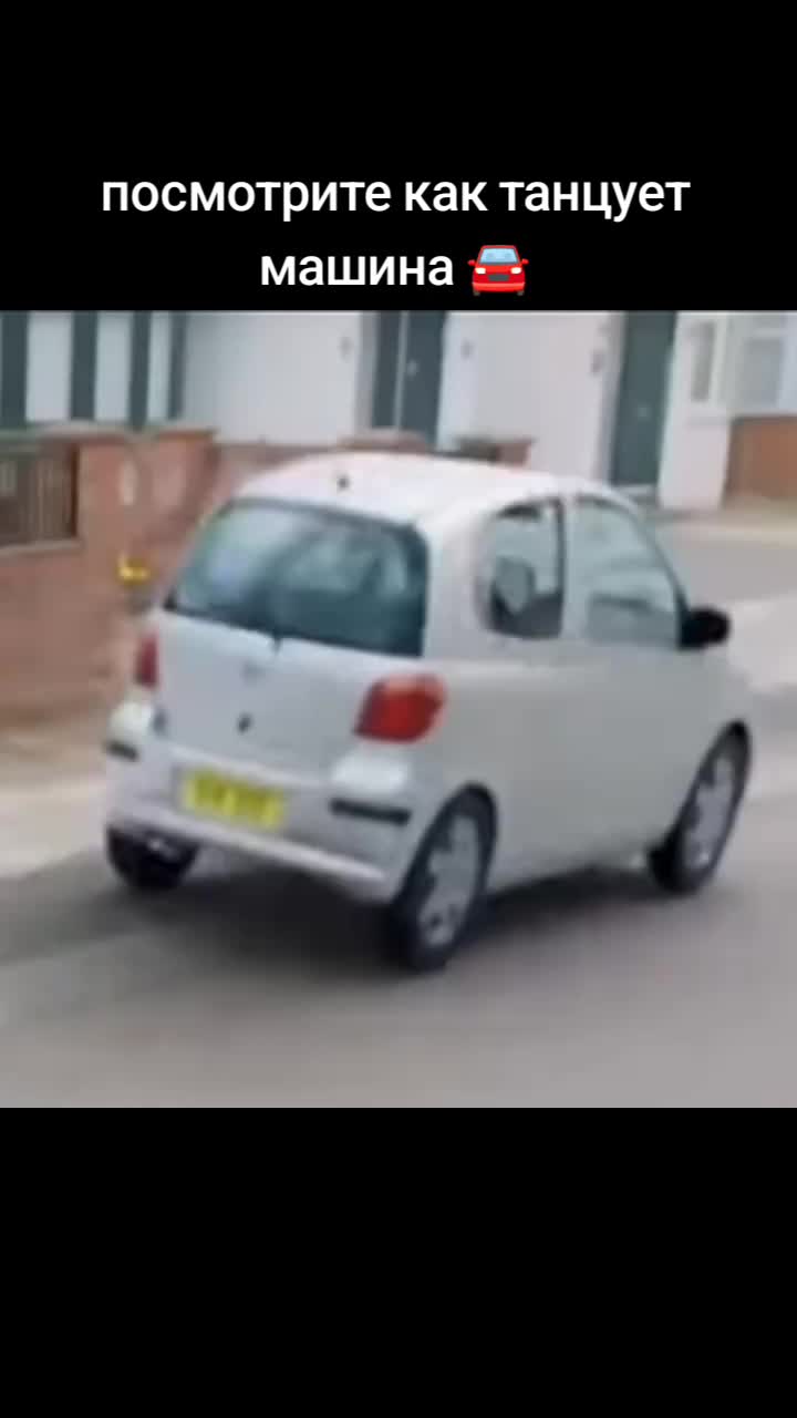 @warsik_kot