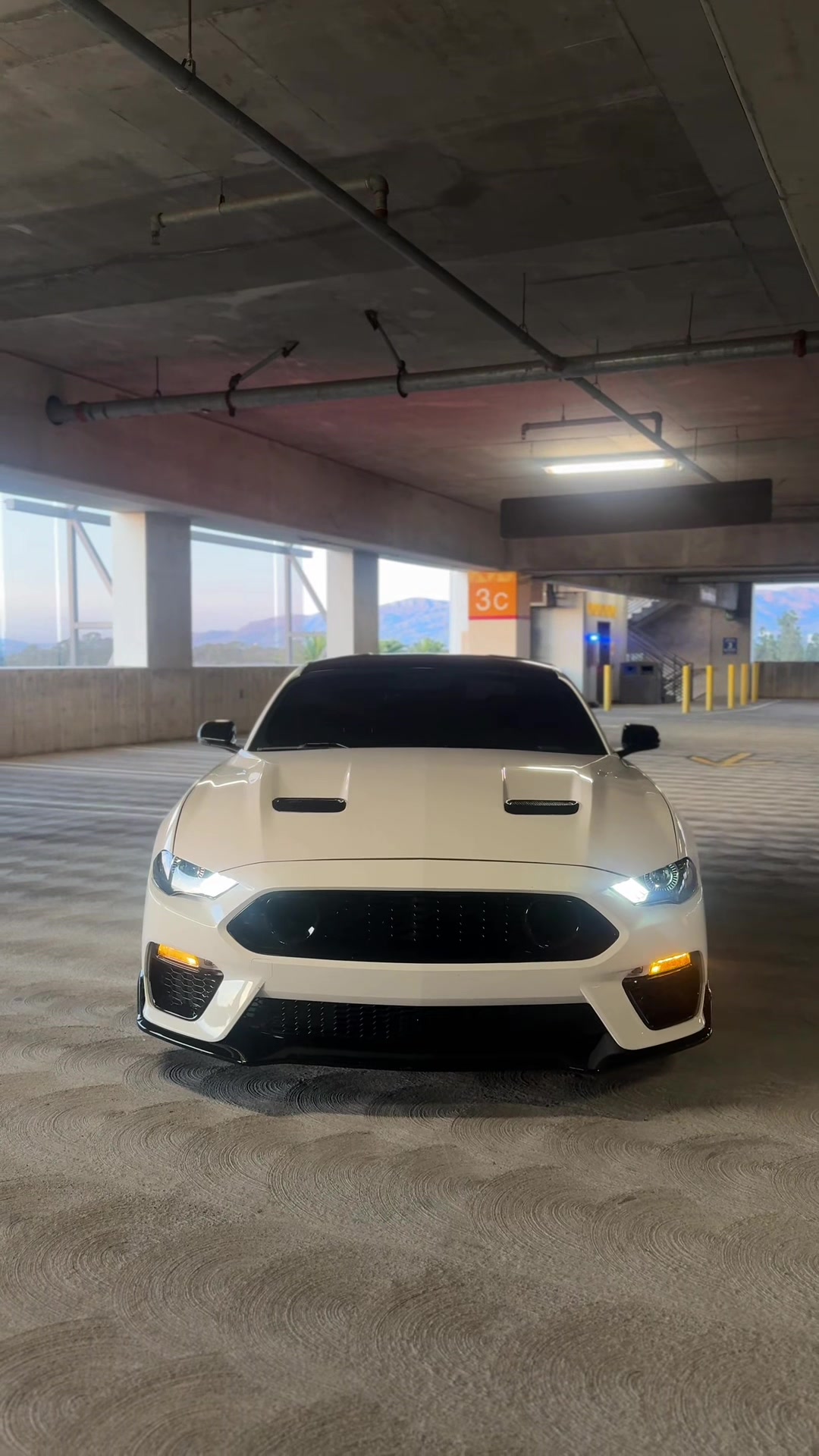 @Jalen.cs