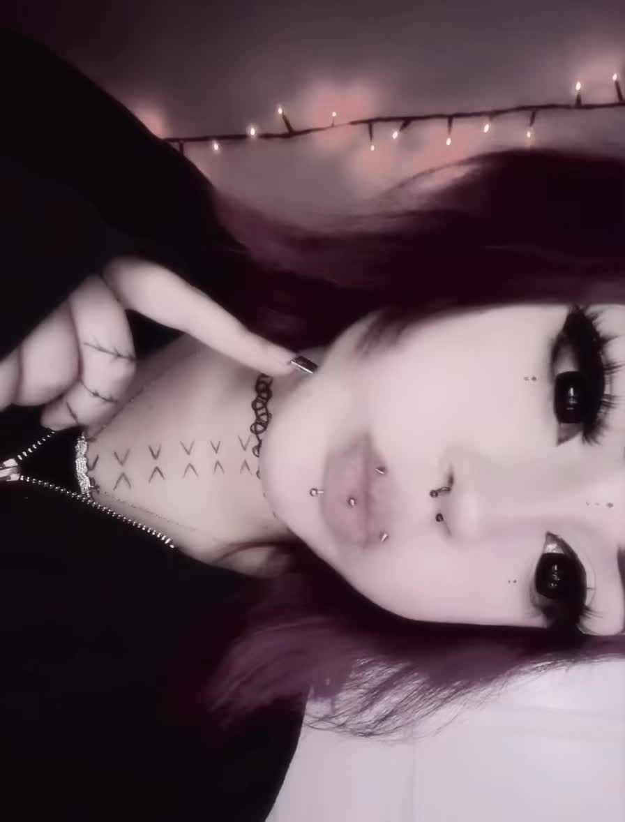 @🐈⬛ rosie ⋆˚꩜。