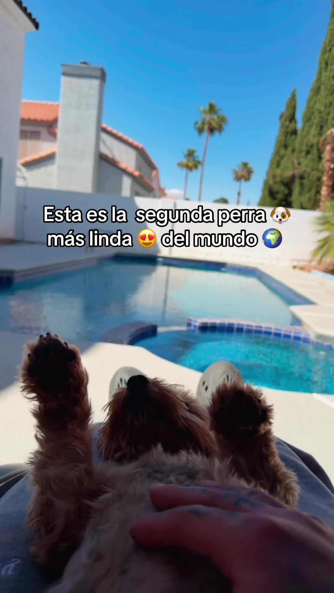 @Ezequiel_Tattoo