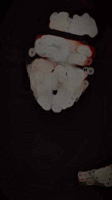 @Ante Mortem
