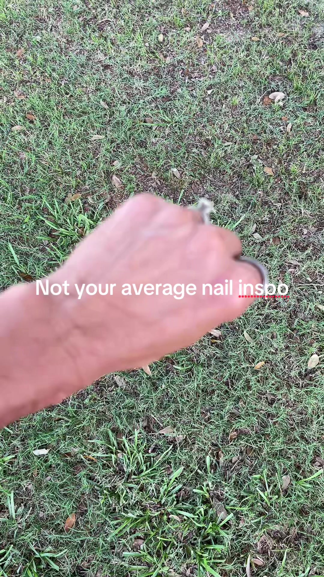 @whitneyshazlewood