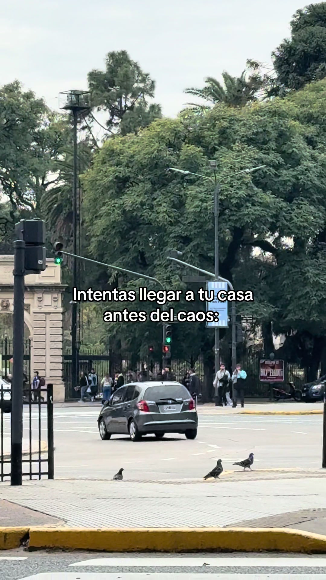 @Sof&iacute;a S&aacute;nchez