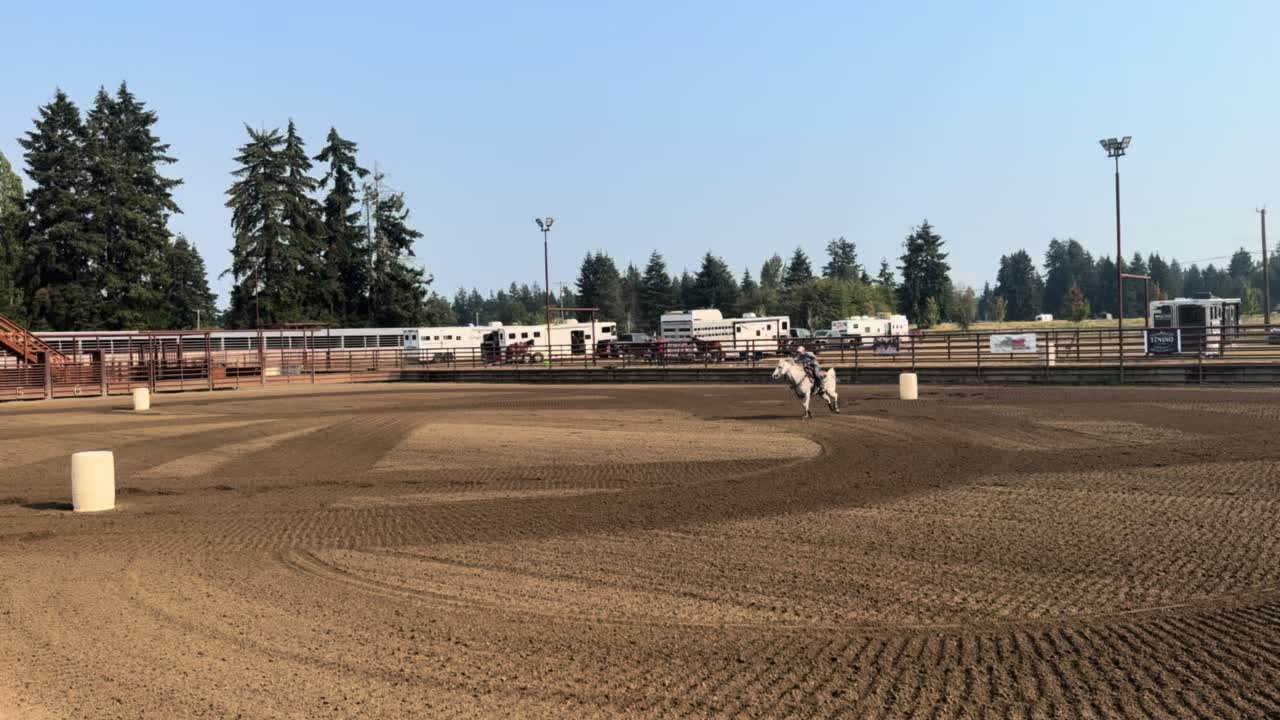 @TF Performance Horses