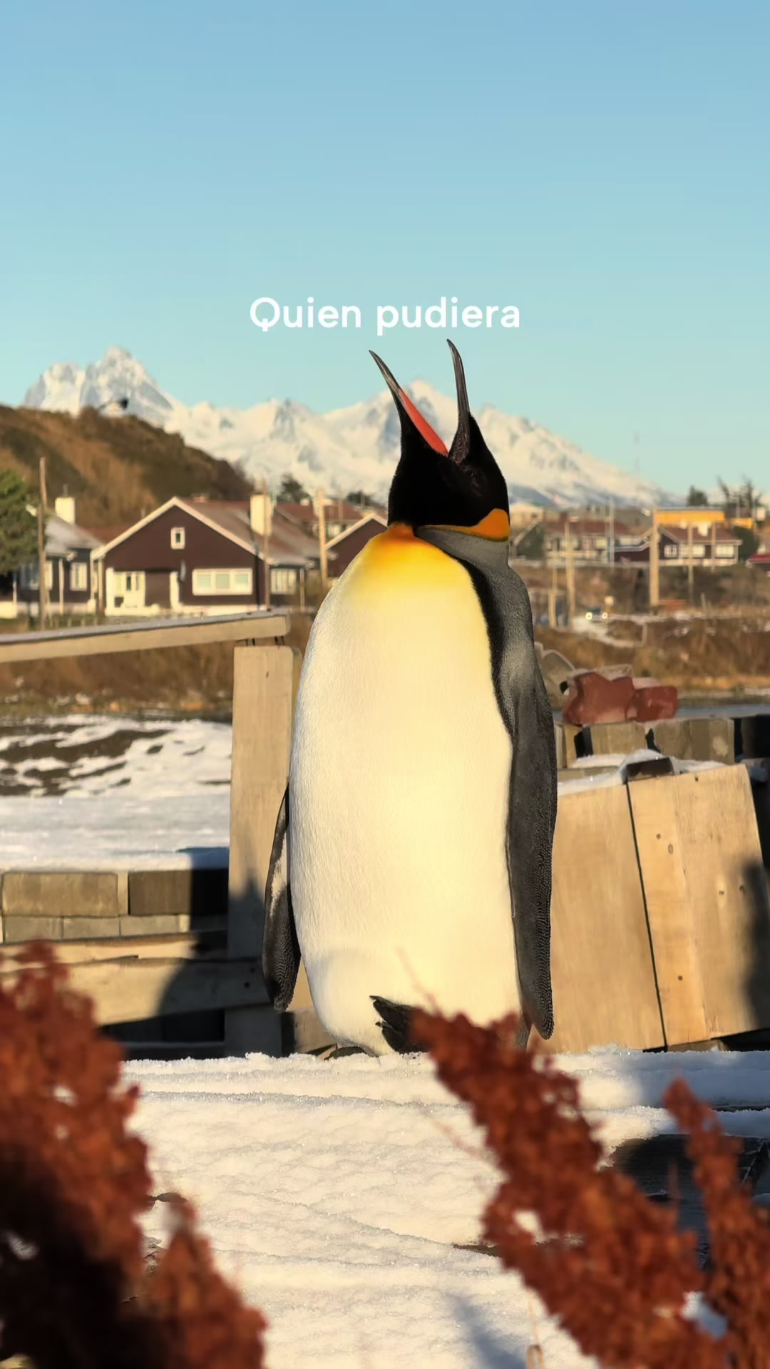 @Marti Erlan