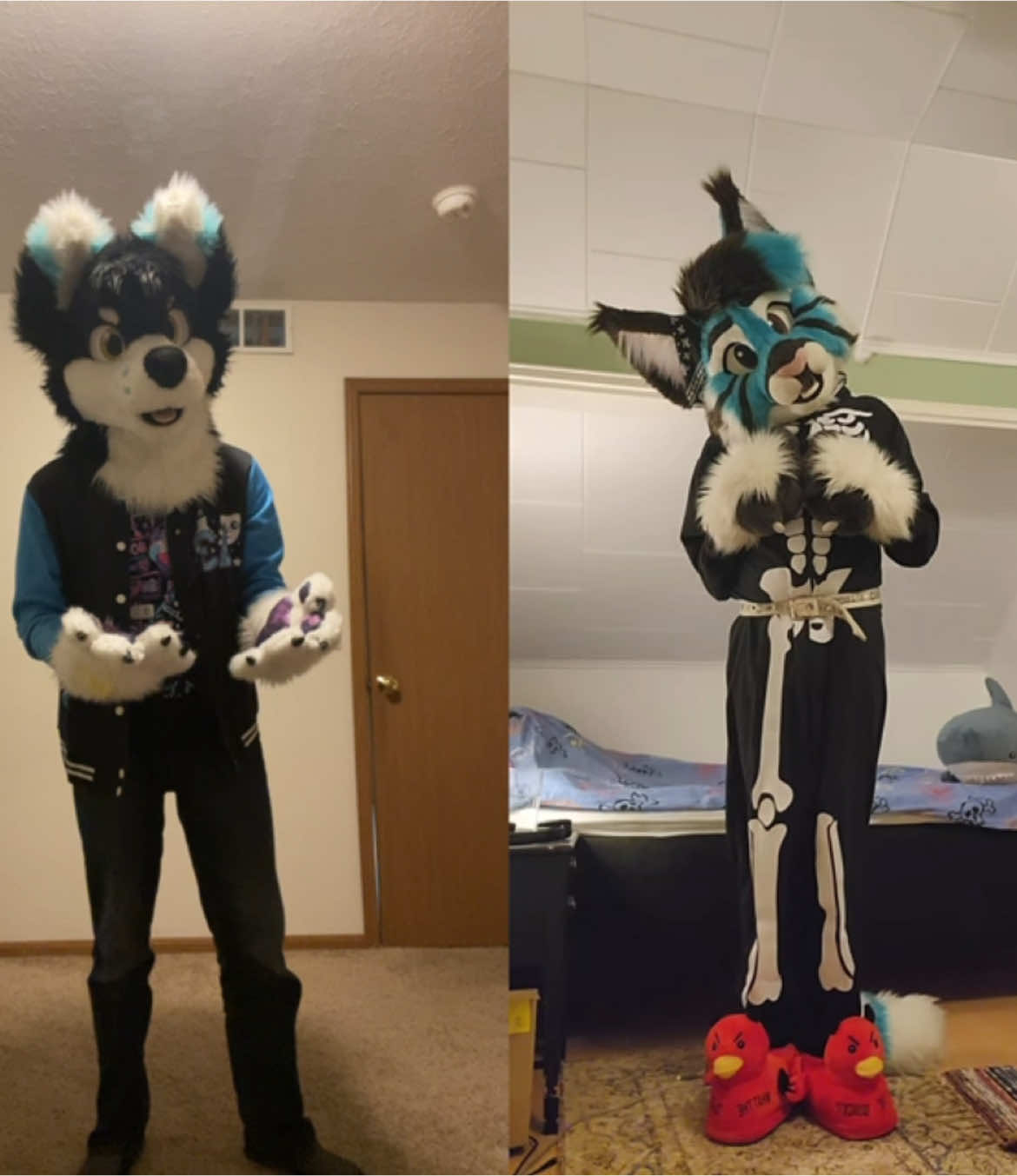 @⭐️KiwiFurSure⭐️