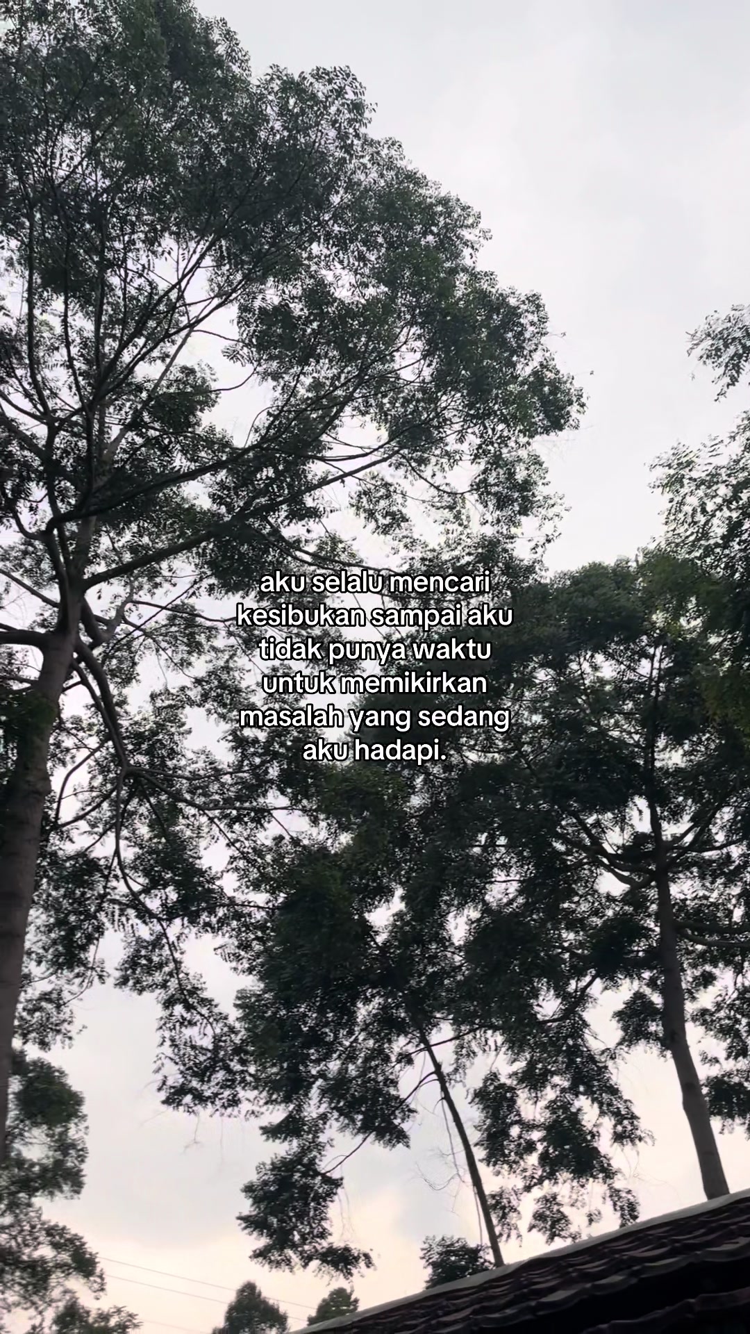 @lost