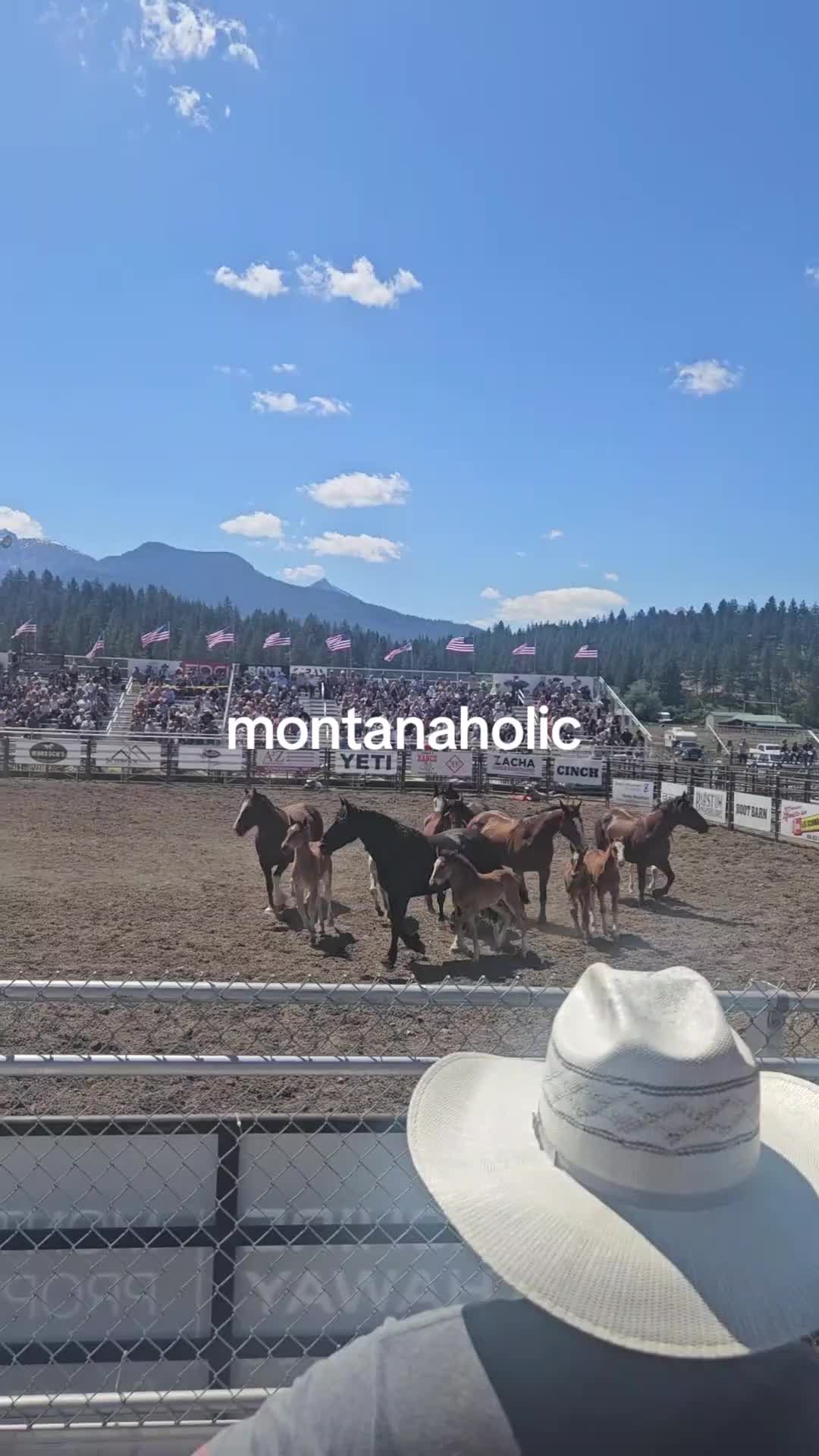 @EllenRescuesPyrs