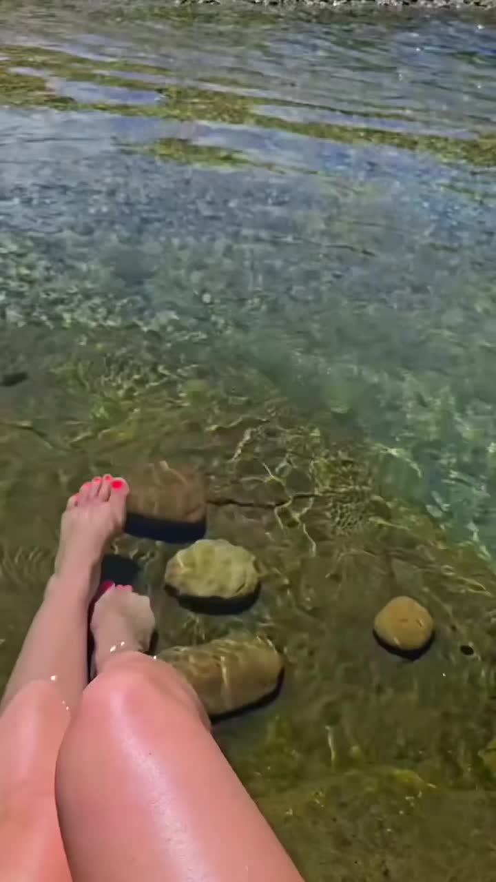 @macipalmer0